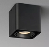 LED Ceiling Surface - C1008 (10W)