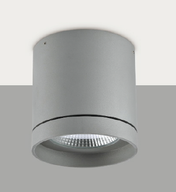 LED Outdoor Ceiling Surface - OB1004C