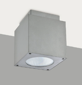 LED Outdoor Ceiling Surface - OB1005C